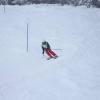 Rennen Skikurs 2018