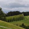 Hopfensteig - Sommer 2026