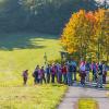 Lembach-Herbst2019