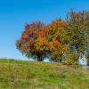 Lembach-Herbst2019