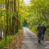 Lembach-Herbst2019