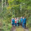 Wandern Oberkappel Herbst 2023