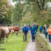 Wandern Oberkappel Herbst 2023