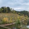 Wandern Oberkappel Herbst 2023