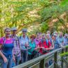 Stillensteinklamm-Sommer2019