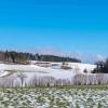 Winterwanderung 2023 - Tragwein