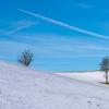 Winterwanderung 2023 - Tragwein