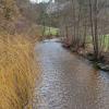 Winterwanderung 2023 - Tragwein