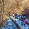 Winterwanderung 2023 - Tragwein