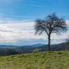 Winterwanderung 2023 - Tragwein