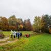 Weitersfelden-Herbst 2017