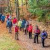 Weitersfelden-Herbst 2017