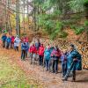 Weitersfelden-Herbst 2017